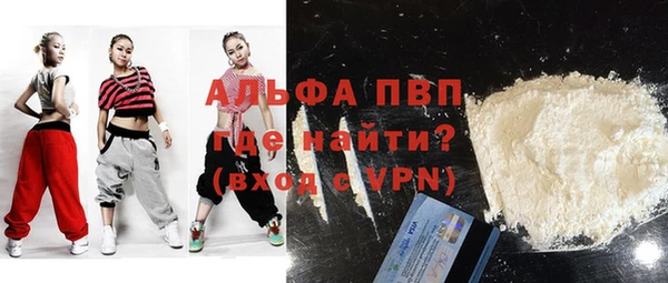 стафф Алексин