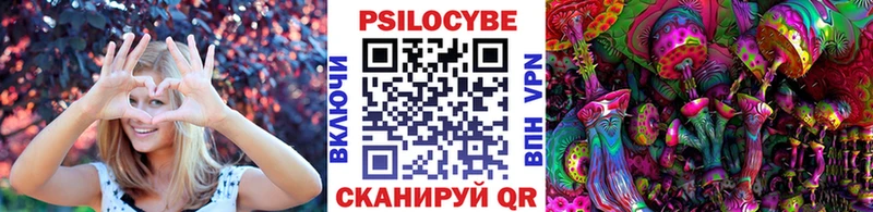 Псилоцибиновые грибы Psilocybe  дарнет шоп  кракен ССЫЛКА  Киреевск 